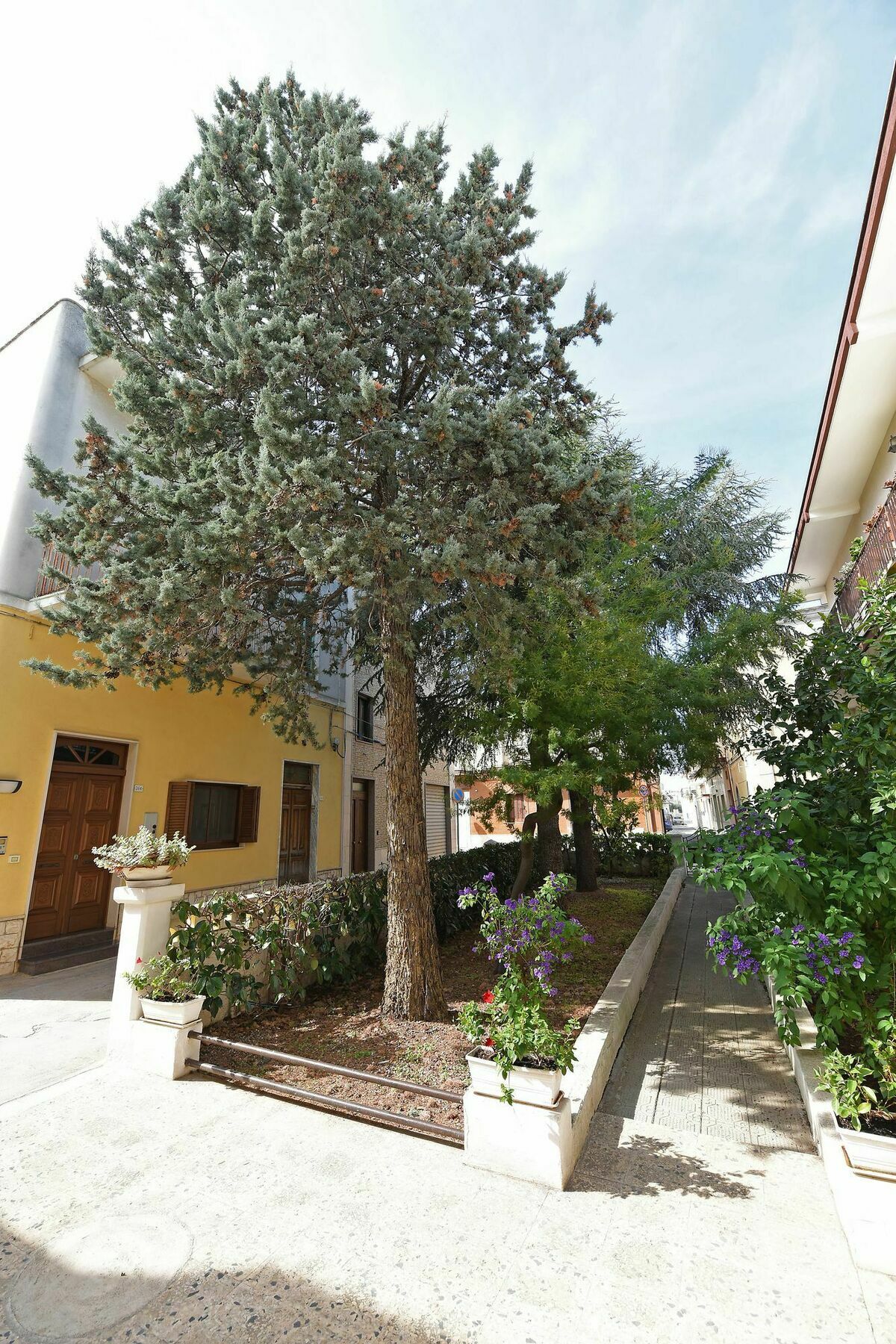 Villa Ricciardi-Suite Famigliare 1-Zona Ostuni Montalbano  Ngoại thất bức ảnh